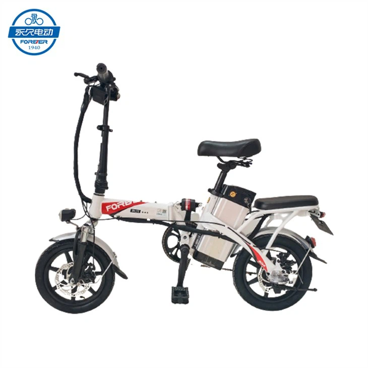 _20230215134458-removebg-preview