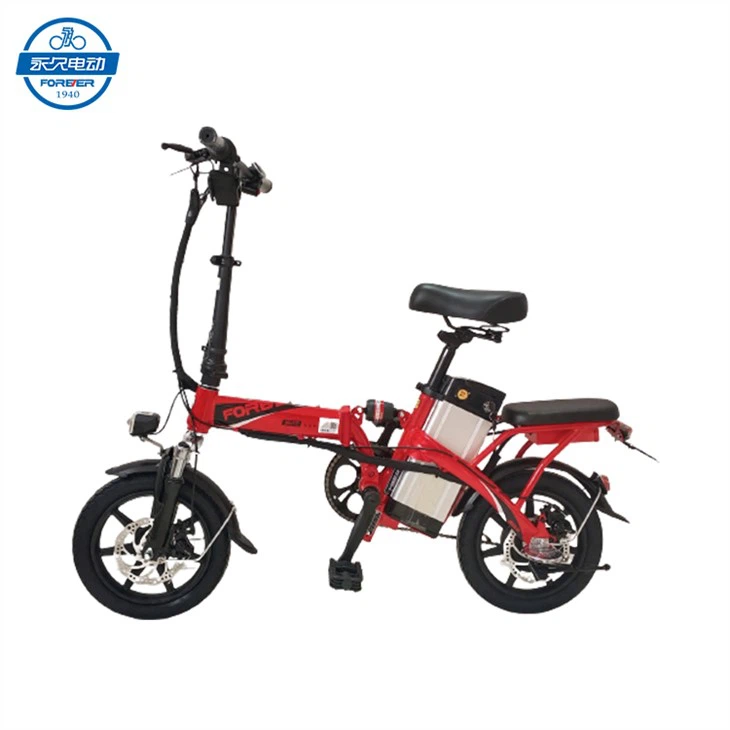 _20230215134504-removebg-preview