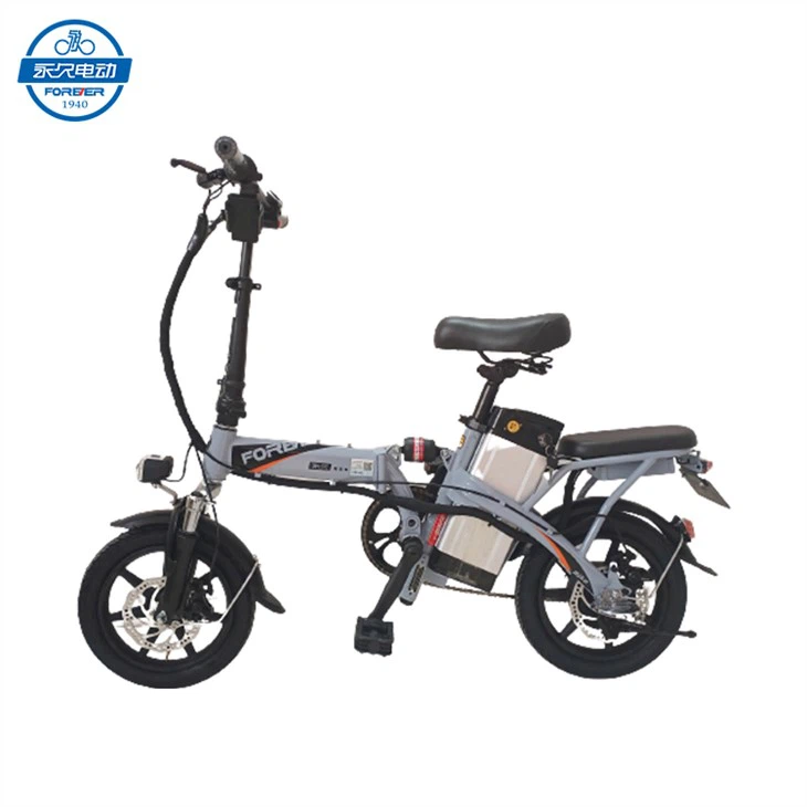 _20230215134451-removebg-preview