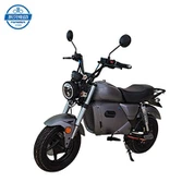 Lithium Battery Electric Motorcycles